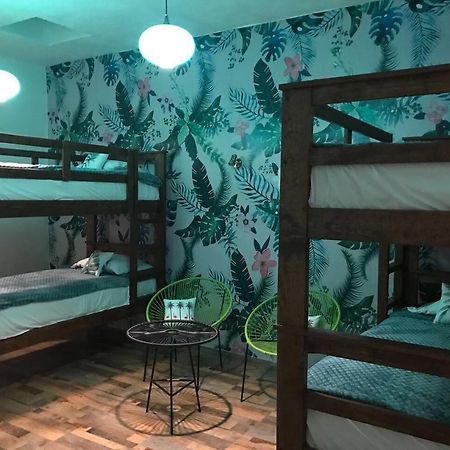 צ'ולולה Hoja Santa Hostal Boutique מראה חיצוני תמונה