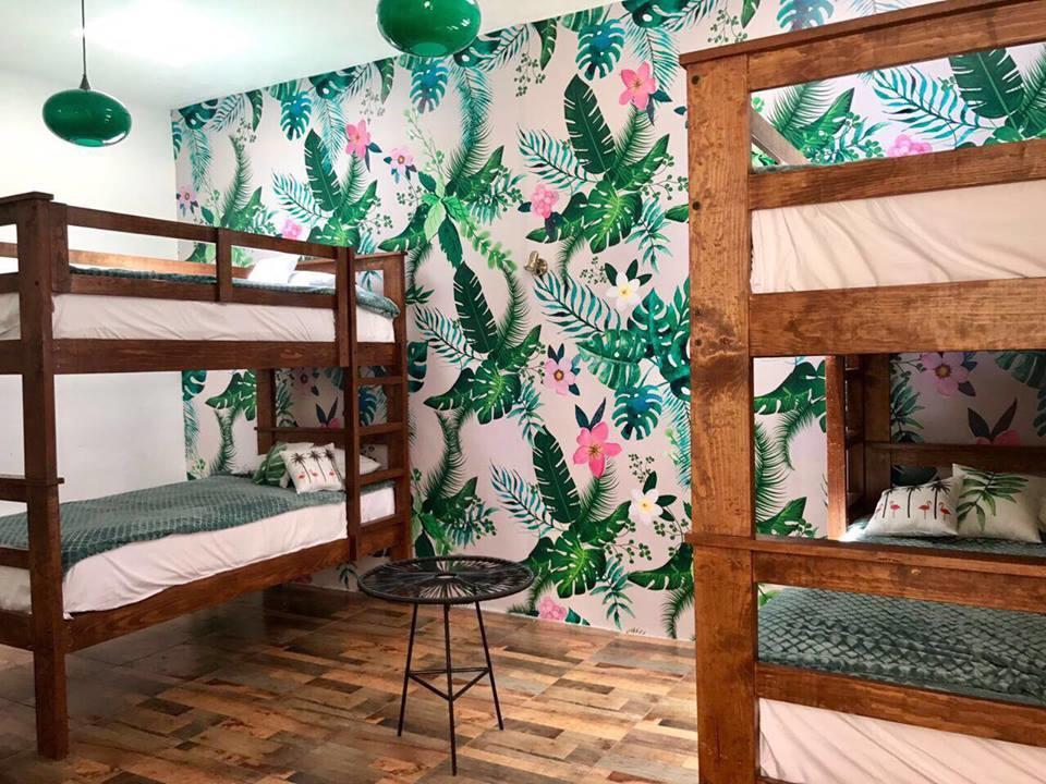 צ'ולולה Hoja Santa Hostal Boutique מראה חיצוני תמונה